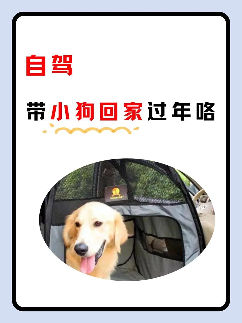 准备回老家过年,家里的小狗带不上该怎么办?