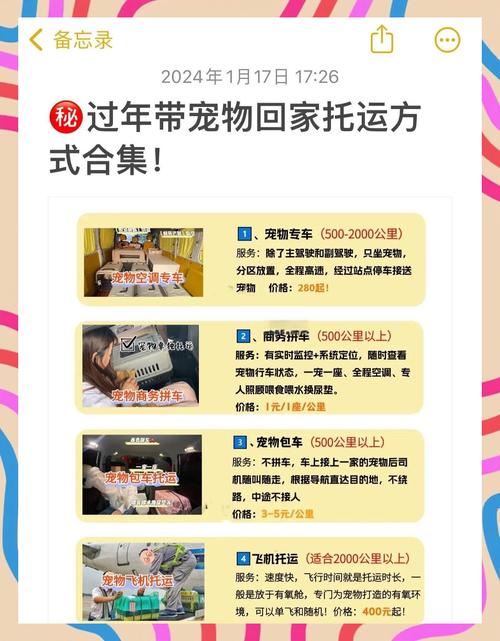 狗狗过年回家怎么办