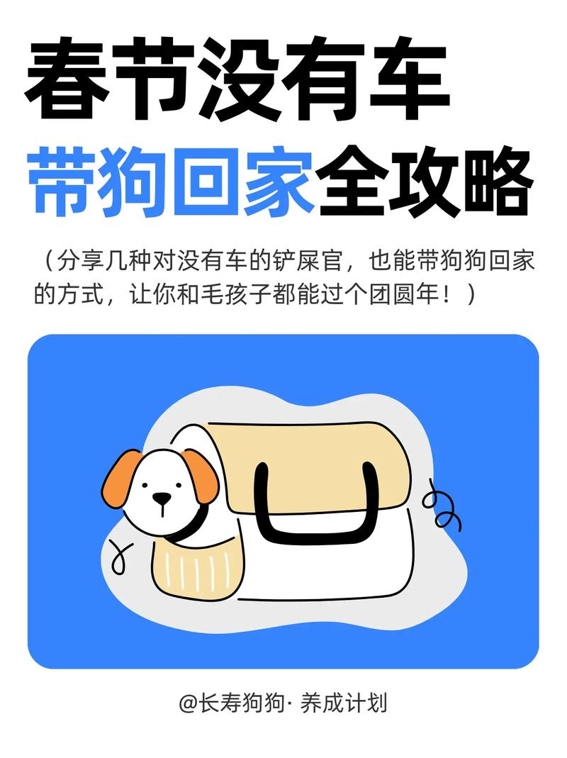 过年如何带狗狗回老家?