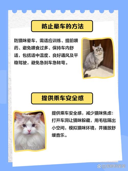 把猫咪关起来一直叫怎么办?
