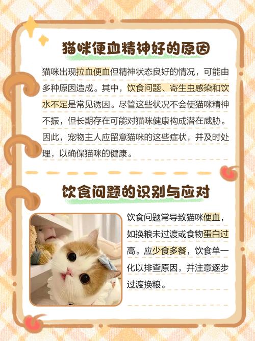 猫拉血是怎么回事但是精神很好