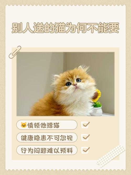 猫不能送人吗,必须给点钱吗?