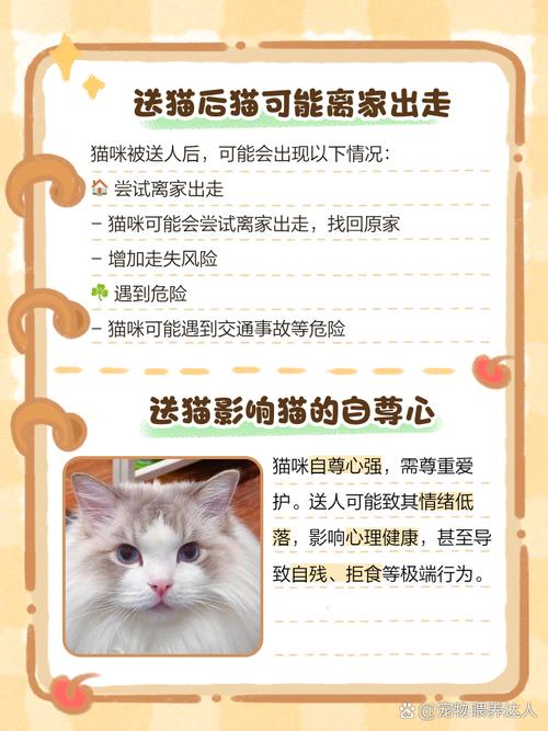 送走猫咪时要注意什么?