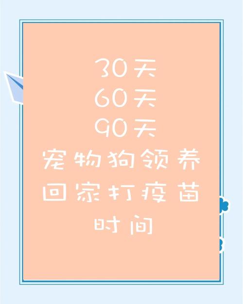 狗狗超过三个月还能打疫苗吗