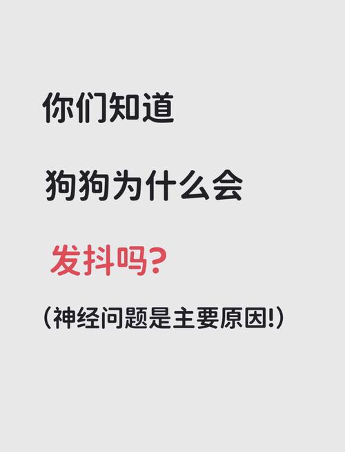 狗狗经常发抖,是否太冷了?