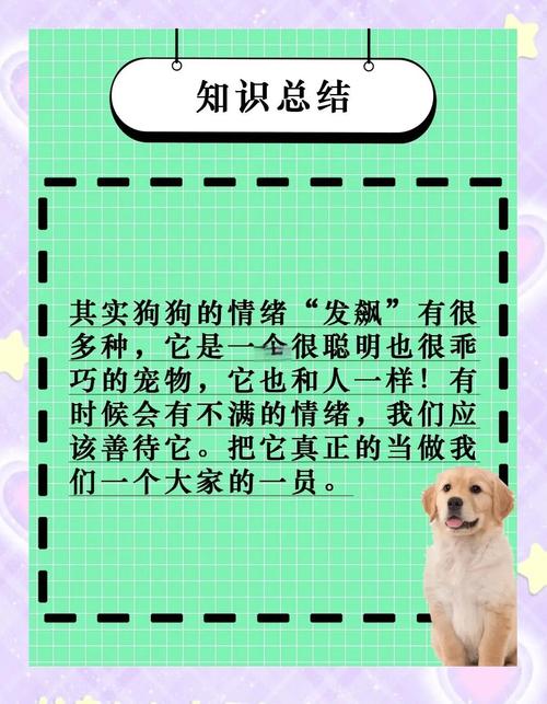 泰迪犬脾气差不服从主人管理,该怎么办?