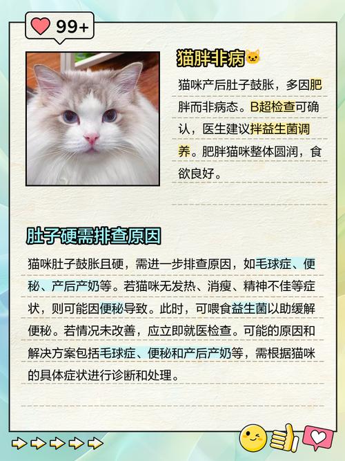 猫咪肚子软软的而且圆鼓鼓的怎么回事