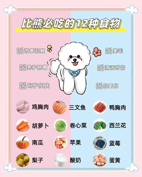 比熊可以吃馒头米饭吗