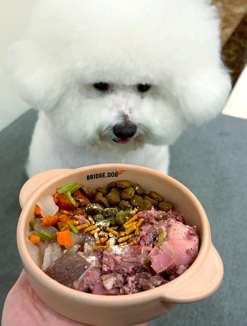 狗吃馒头好处和坏处