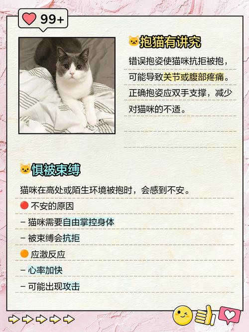 为什么猫不喜欢让人抱