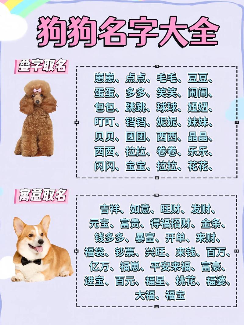 狗狗怎么会知道自己名字