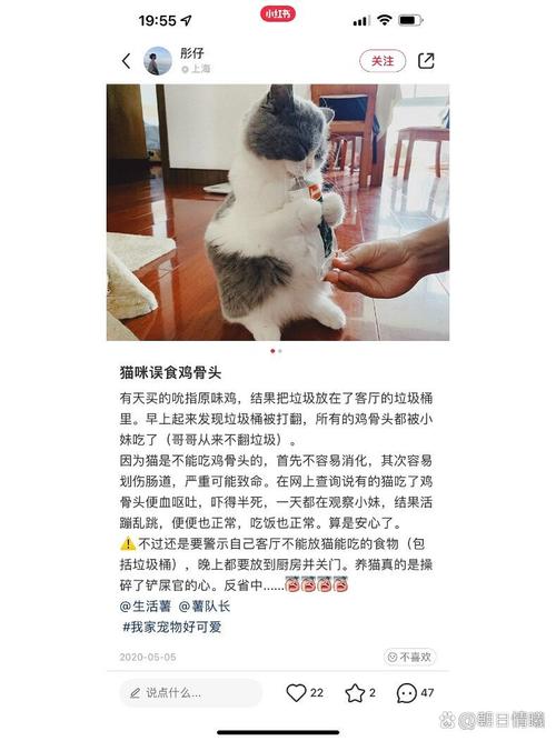 猫咪吃了鸡骨头会有什么影响?