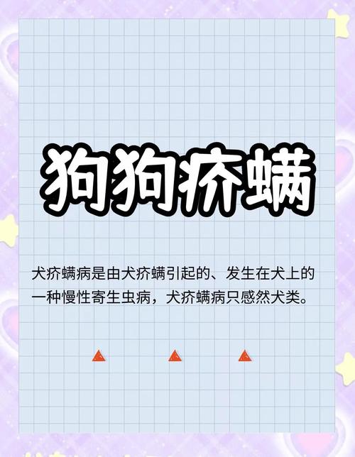 狗狗身上有螨虫用什么药
