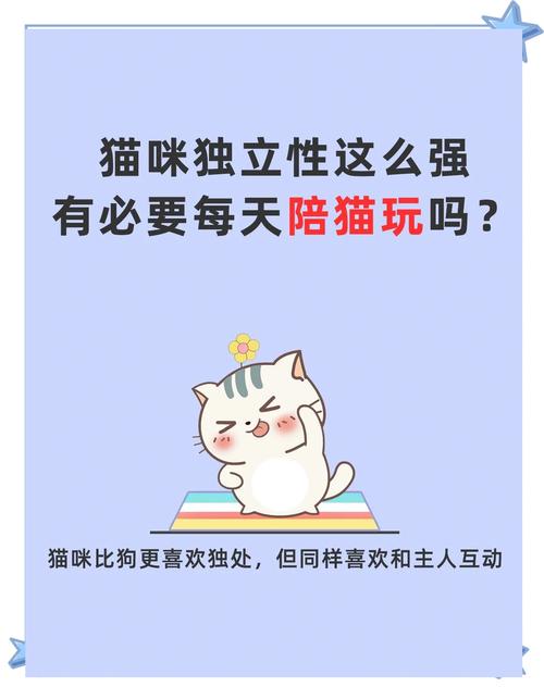养了一只猫咪需要给它找玩伴陪伴它吗?