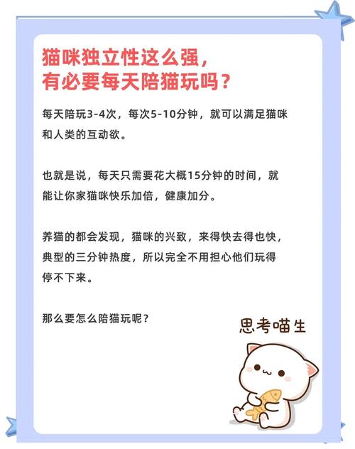 家里养几只猫比较好呢?