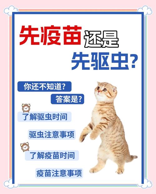 猫怎么打针和驱虫
