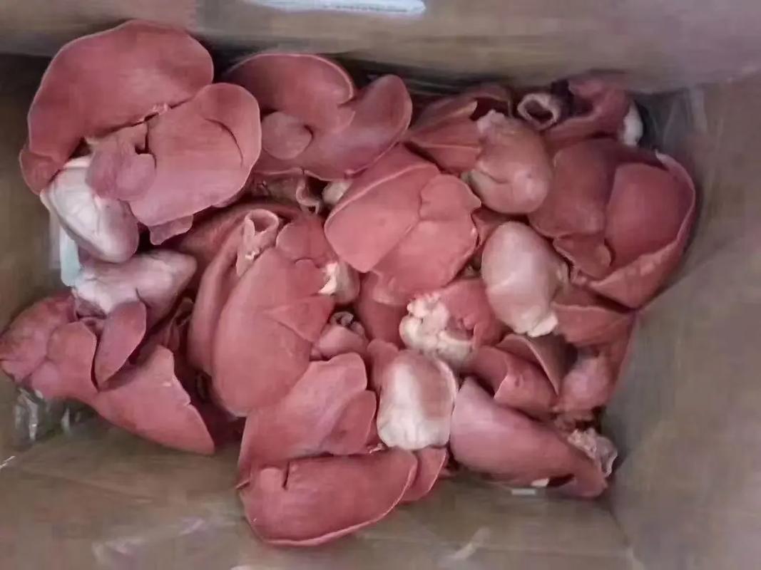 狗狗能吃羊肝羊肺吗