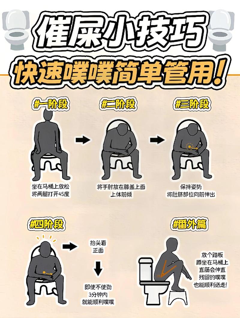 狗便秘拉不出屎怎么办