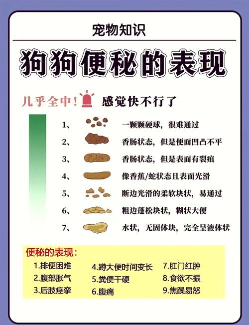 狗狗为什么会便秘,狗狗拉不出屎怎么办