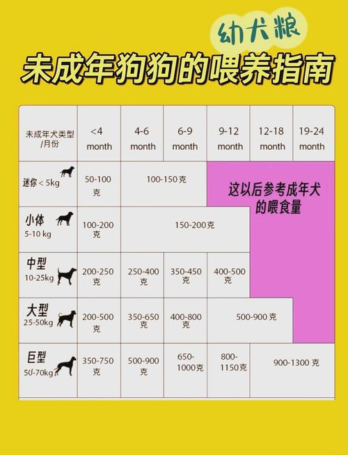 小狗一顿吃多少两个月大的小狗一顿吃多少饭量