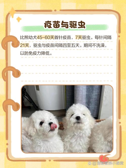 2个月狗狗吃多少狗粮