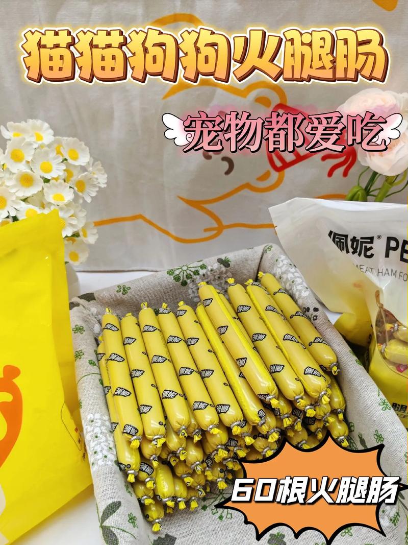 狗狗为什么不能吃人吃的火腿肠?