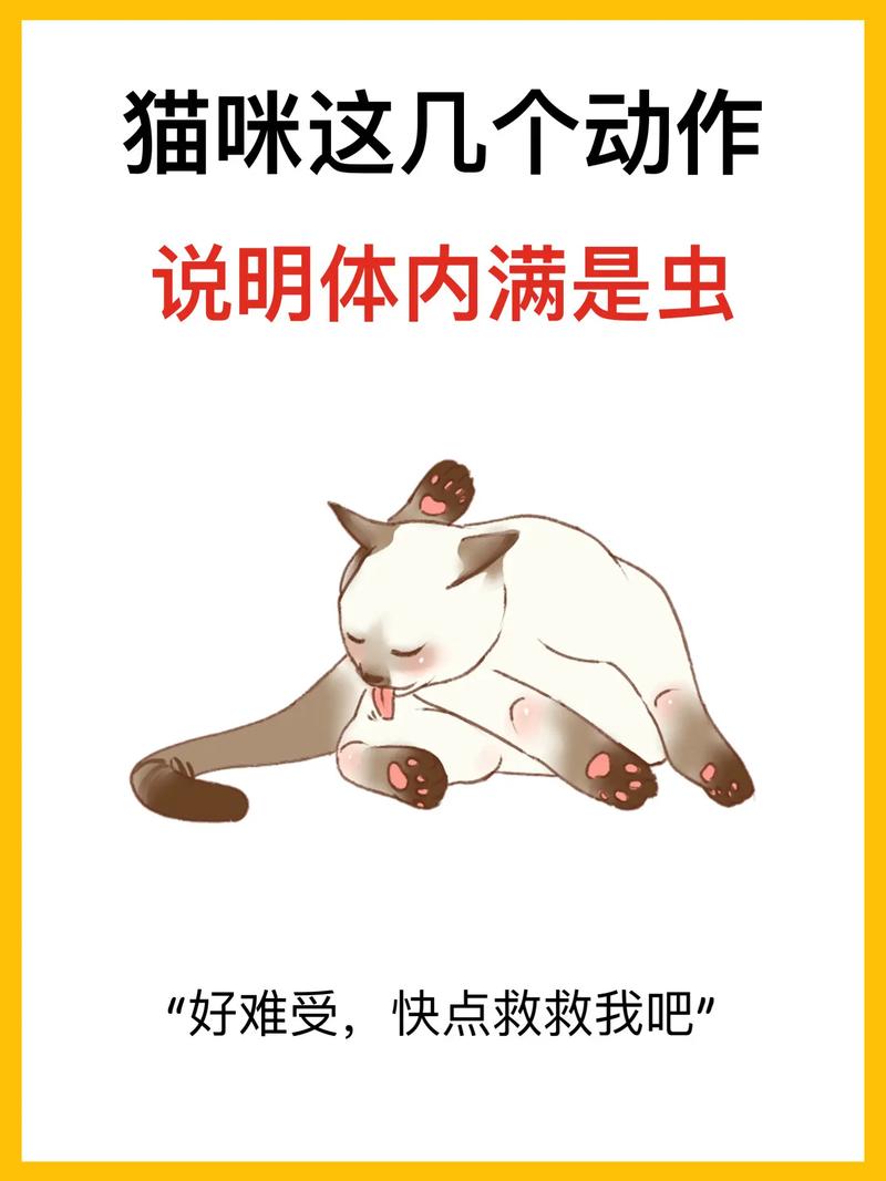 猫咪一直挠耳朵需要伊丽莎白圈吗