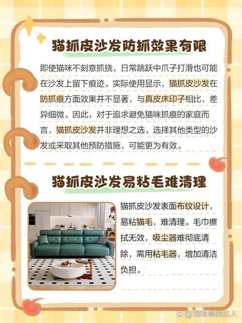 家里养猫怎么防止沙发被抓坏?
