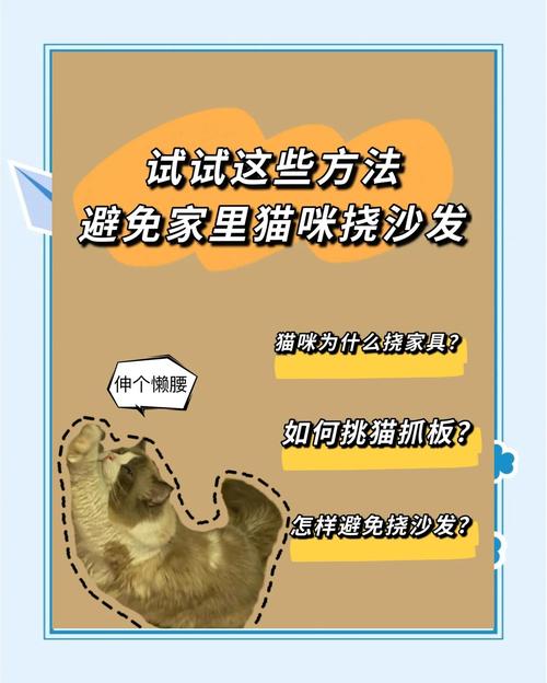 主人外出时怎么防止猫咪抓沙发