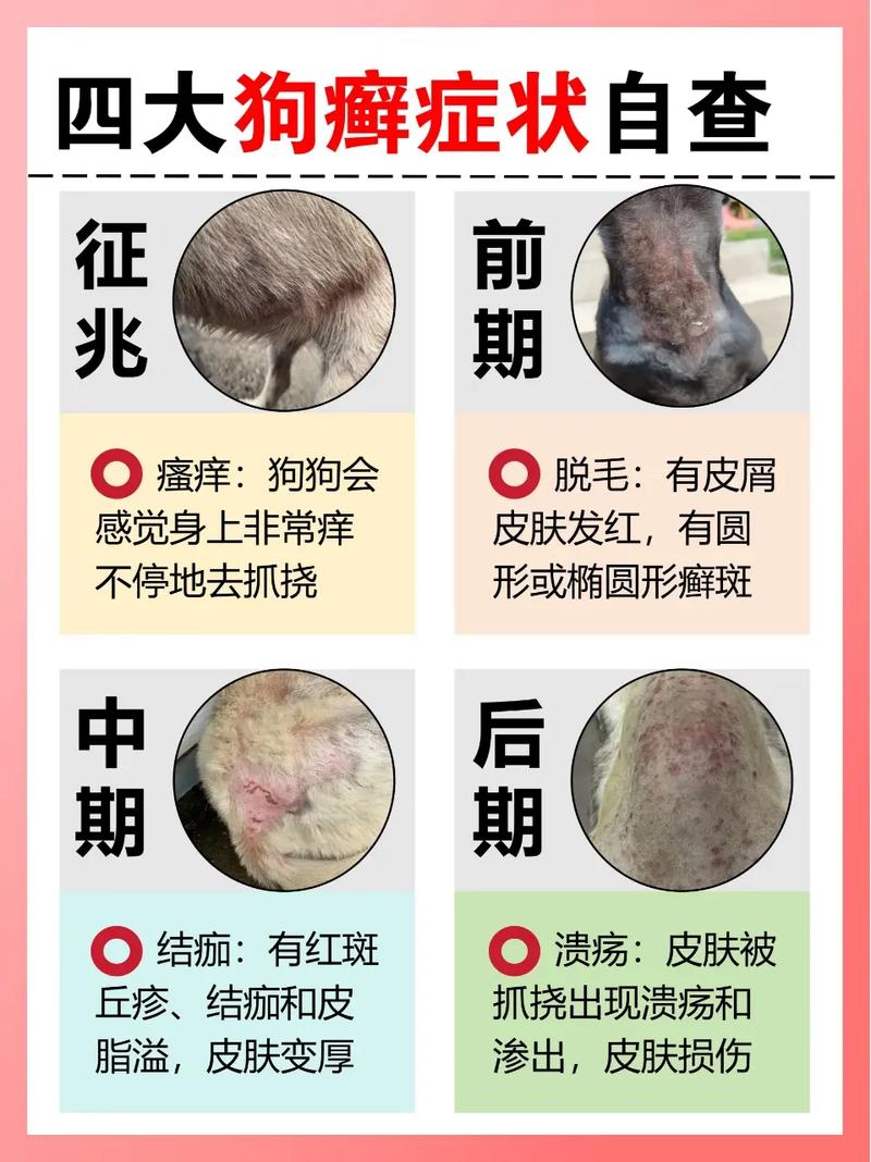 狗狗得了真菌性皮肤病不能吃什么东东啊