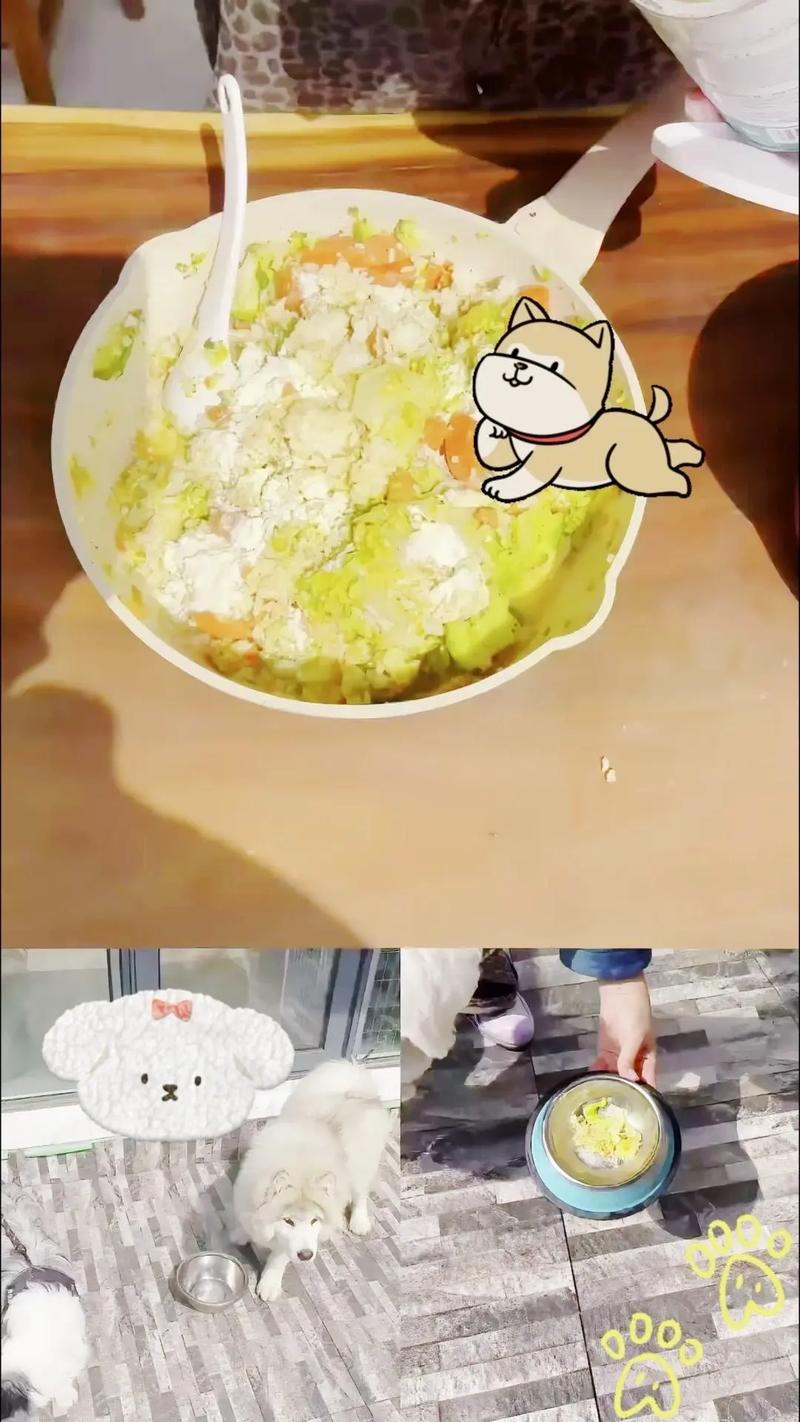 胡萝卜怎么做给狗狗吃