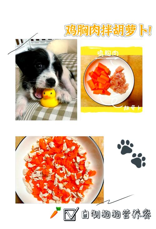 胡萝卜怎么给狗狗吃比较好