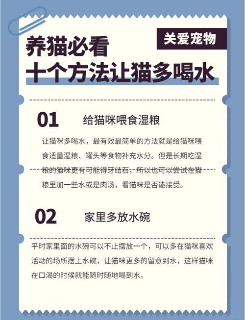 十个方法让猫咪多喝水