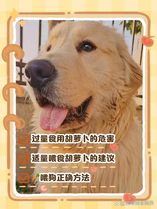 狗吃胡萝卜的5大忌?