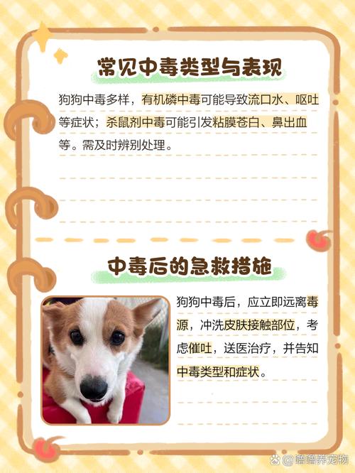 狗狗误食了过量的阿苯达唑片会有什么后果?