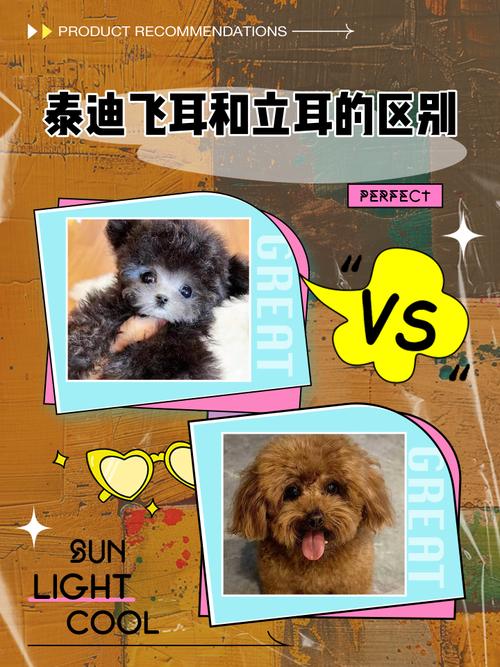 狗狗为什么会飞耳