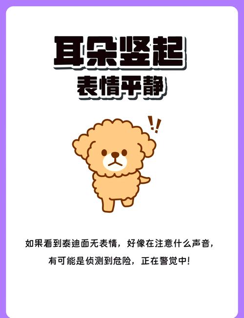 罗威纳飞耳什么原因造成的