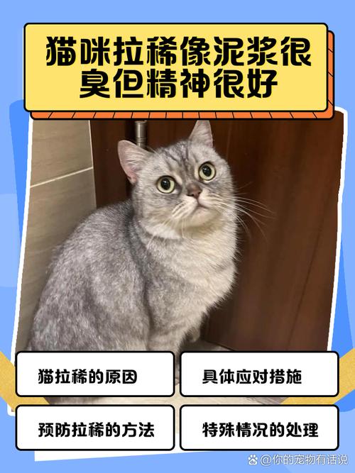 猫咪拉稀精神状态很好是怎么回事?