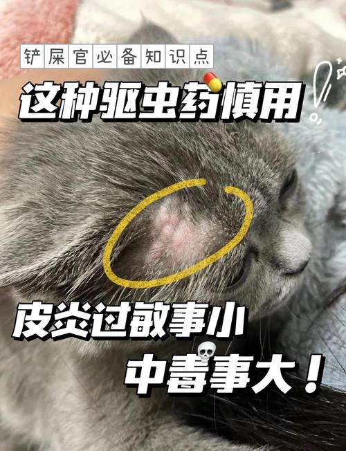 给小猫咪吃了点驱虫药(阿维菌素粉),吃了后怎么走路都不稳了,