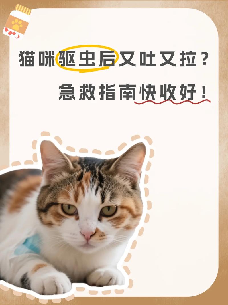 猫频繁驱虫危害