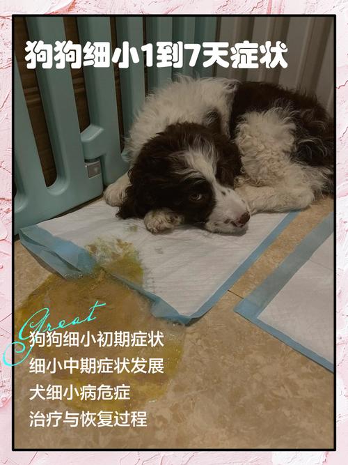 狗狗得了细小前期是什么状态