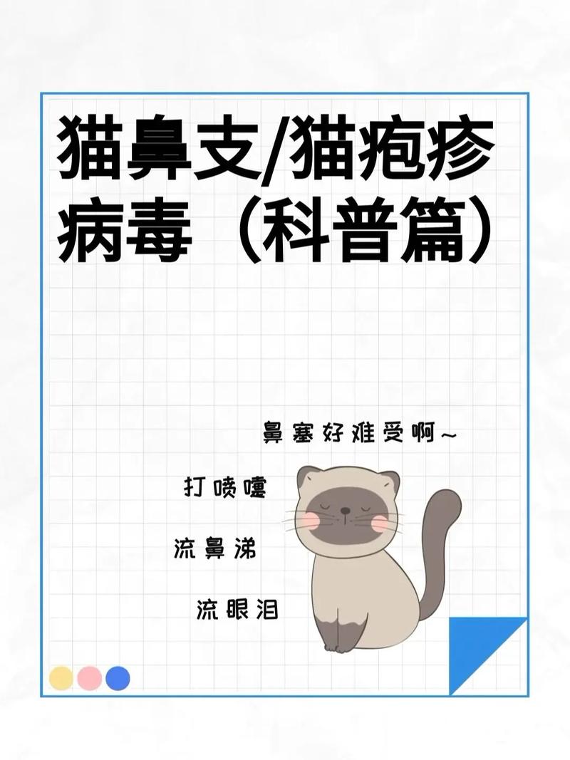 猫眼睛流脓几天就死了