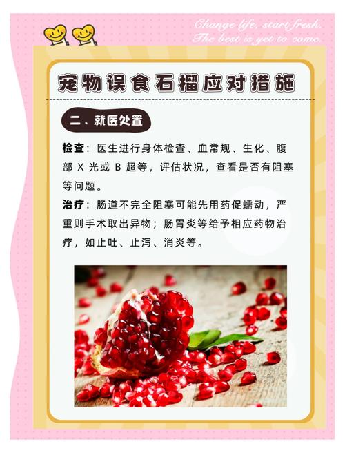 狗狗误食了石榴籽,有没有什么影响啊?