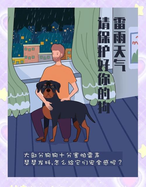 狗狗特别害怕打雷咋办呢?