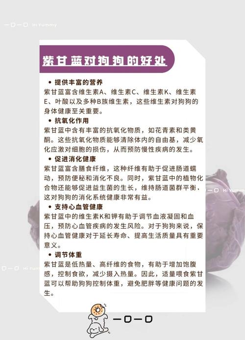 狗狗可以吃紫甘蓝吗