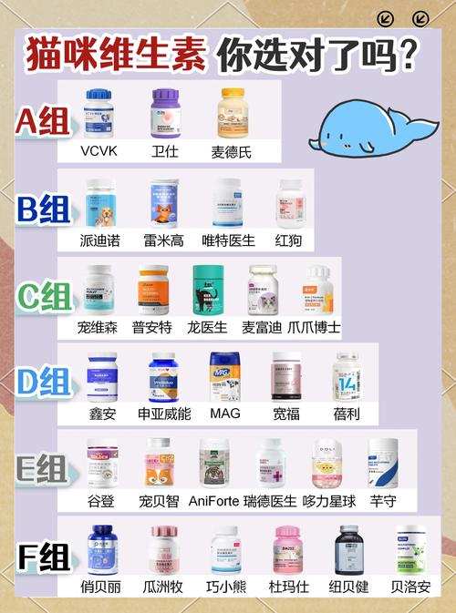 猫咪掉毛吃什么维生素