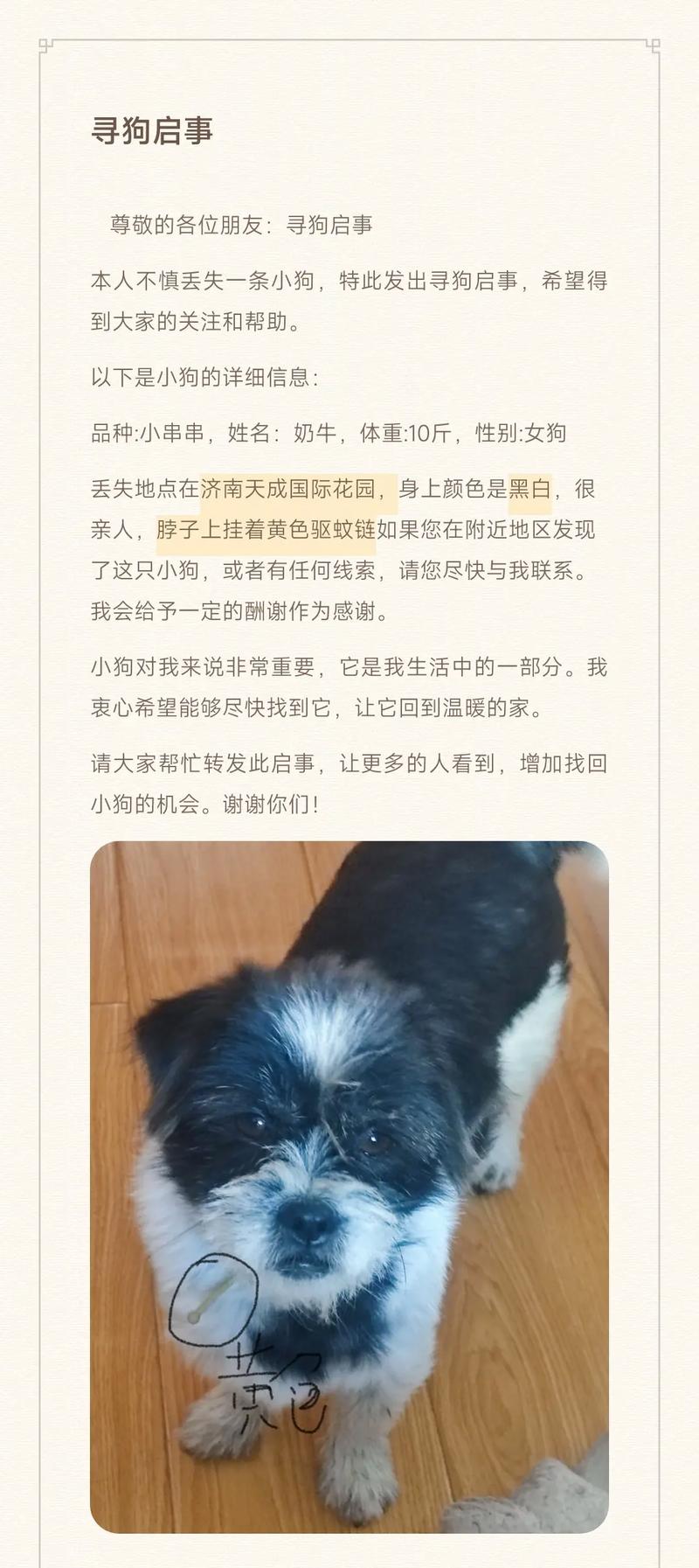 好听好记的黑白狗名字