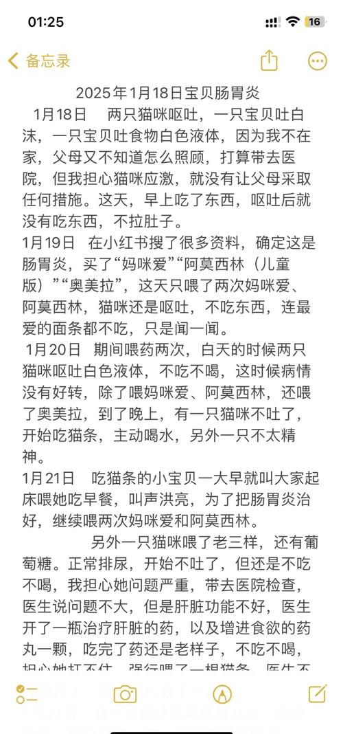 猫咪肠胃炎死亡征兆有哪些