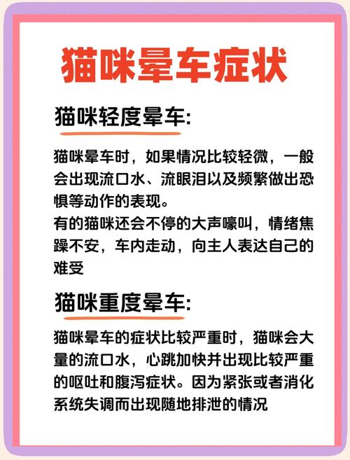 猫咪坐车容易应激要怎么预防?