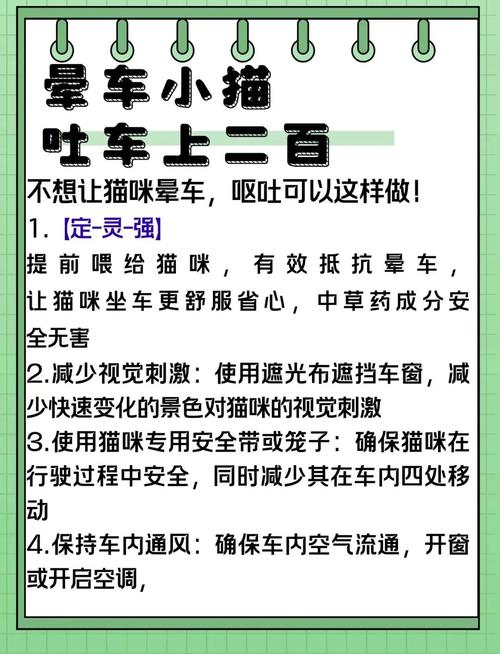 如何让猫安静坐车